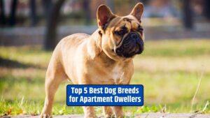 apartment dog breeds, best dogs for small spaces, apartment-friendly dogs, city living with dogs,