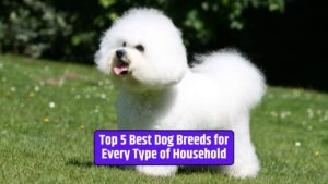Best dog breeds for families, ideal dog breeds for apartments, choosing the right dog breed, family-friendly dogs, canine companions for different households,