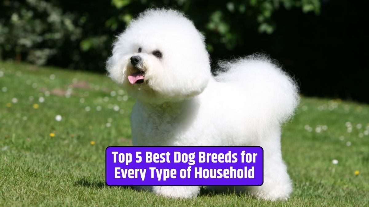 Best dog breeds for families, ideal dog breeds for apartments, choosing the right dog breed, family-friendly dogs, canine companions for different households,