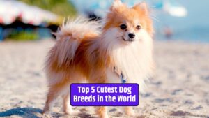 Cute dog breeds, adorable dogs, lovable dog breeds, charming canine companions, irresistible pet breeds,