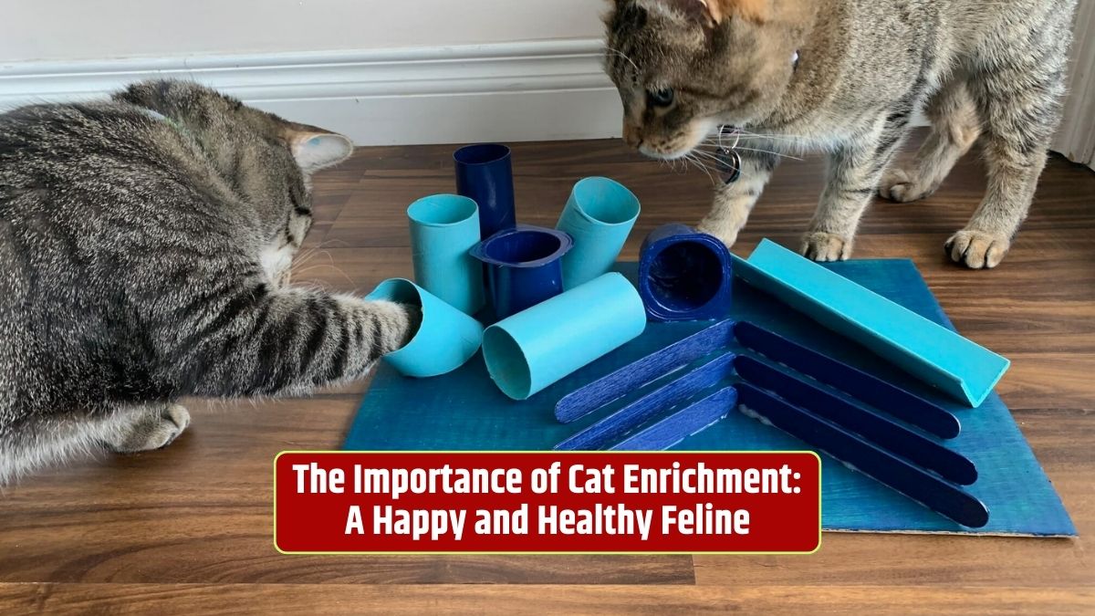 cat enrichment, cat mental health, physical health, feline companions, cat behavior, interactive play, cat toys, puzzle feeders, cat well-being, cat care,