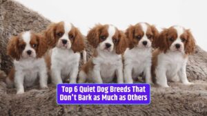 quiet dog breeds, non-barking dogs, peaceful companions, 2023,