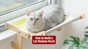 build cat window perch, DIY cat perch, window perch for cats, cat window seat, cat furniture, homemade cat perch,