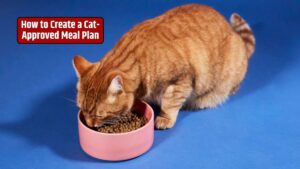 cat-approved meal plan, feline nutrition, cat diet, cat food, cat health, balanced cat diet, cat feeding, cat meal plan, cat-approved treats,