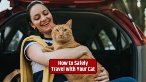 Traveling with cats, cat travel safety, cat carrier, cat travel tips, traveling with pets,