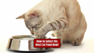 cat food bowl, choosing the right bowl, whisker stress, cat dining preferences, bowl material, cat health, feeding habits,